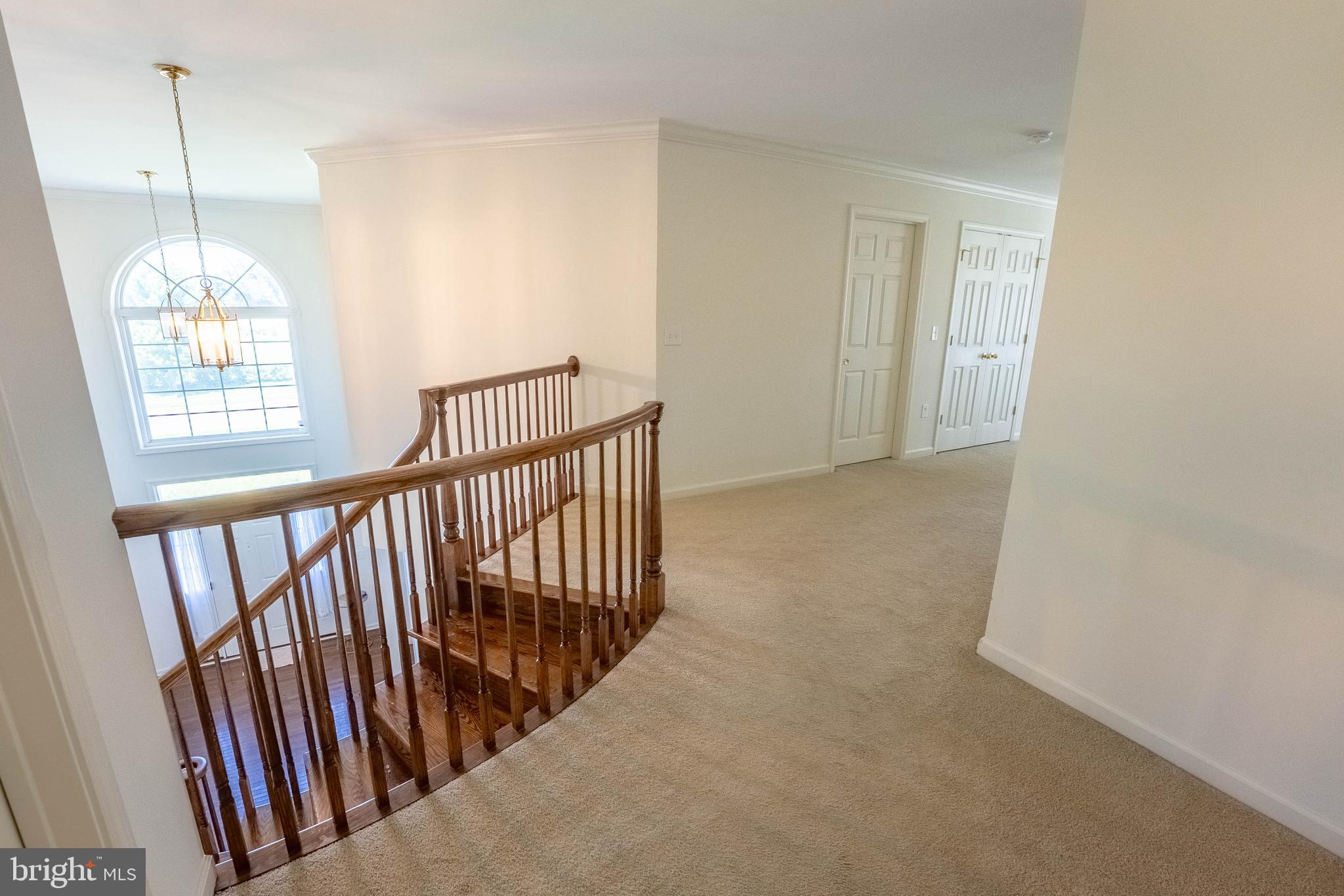 516 RACHEL DR