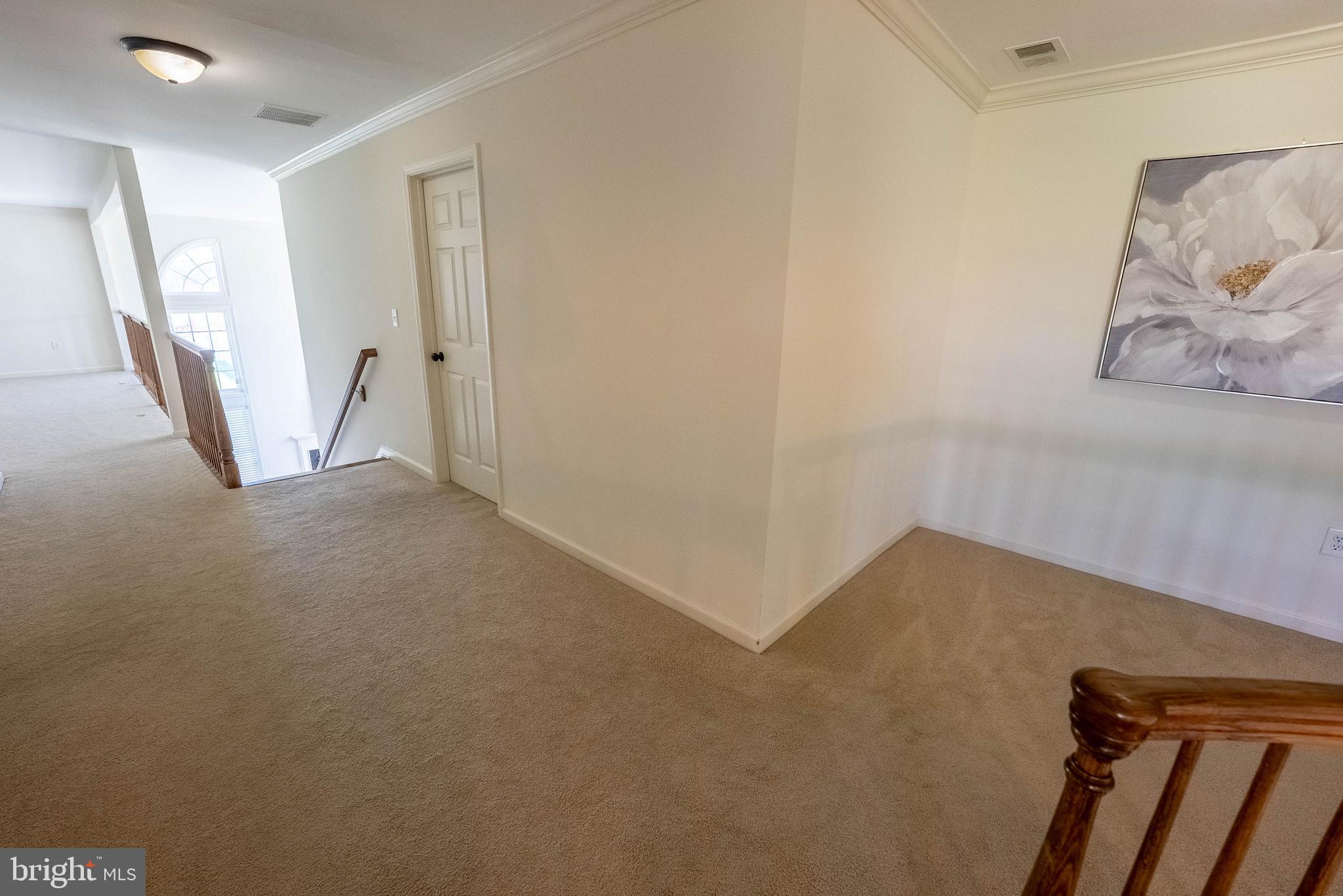 516 RACHEL DR