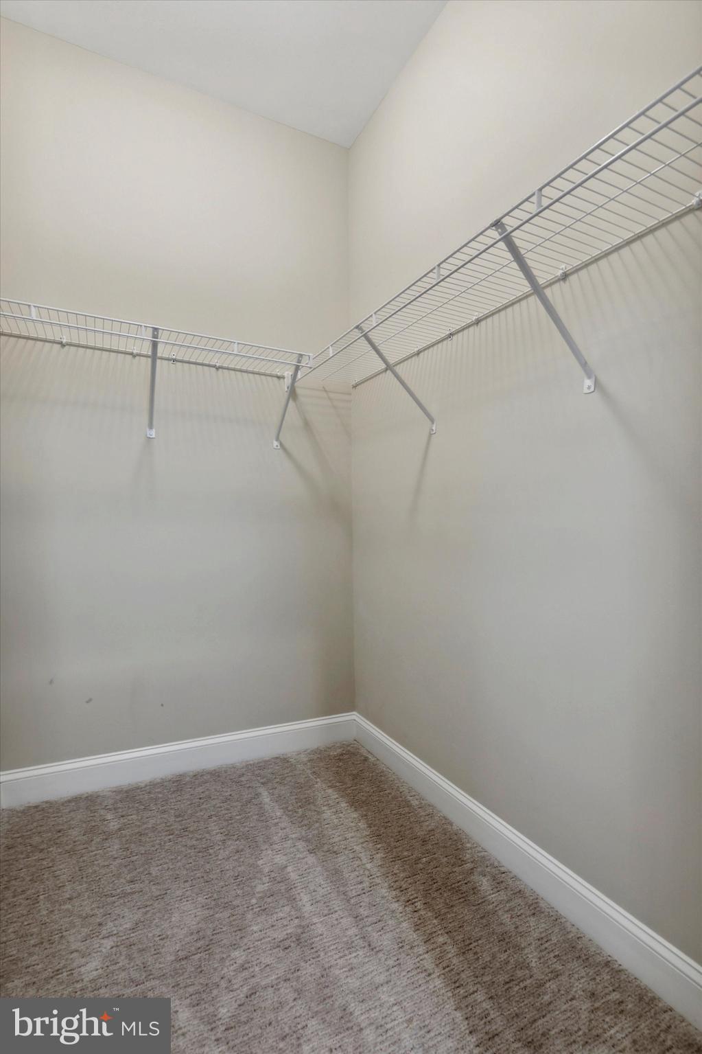 19 White Field Ct