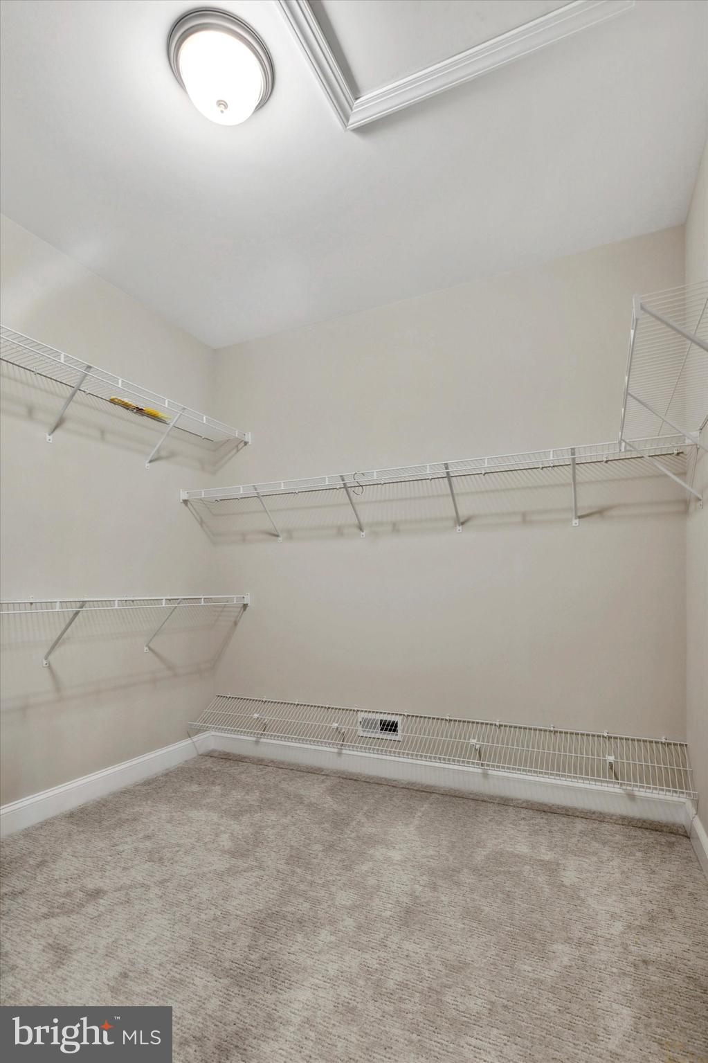 19 White Field Ct