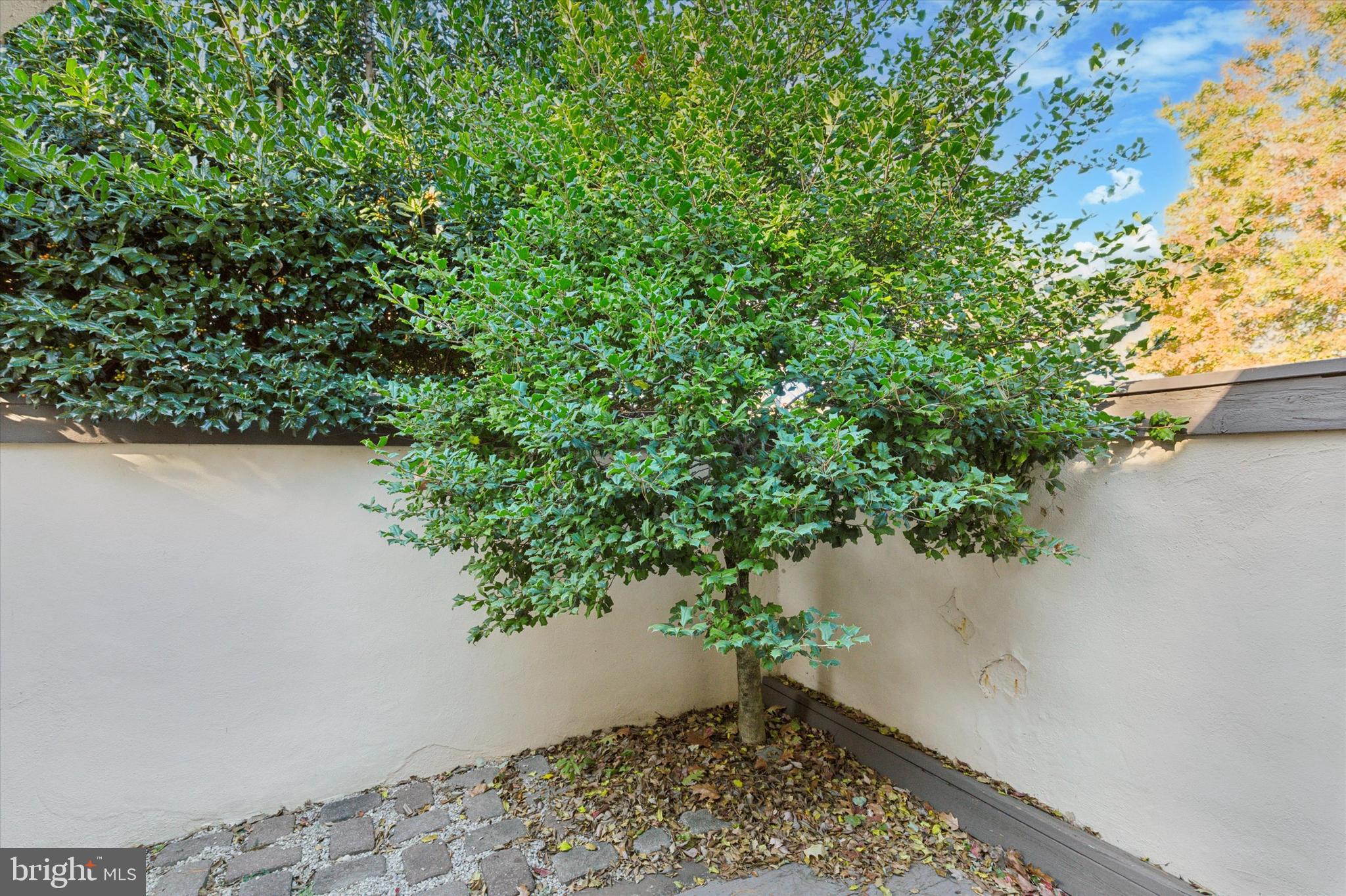 10 Horsetrail Ln