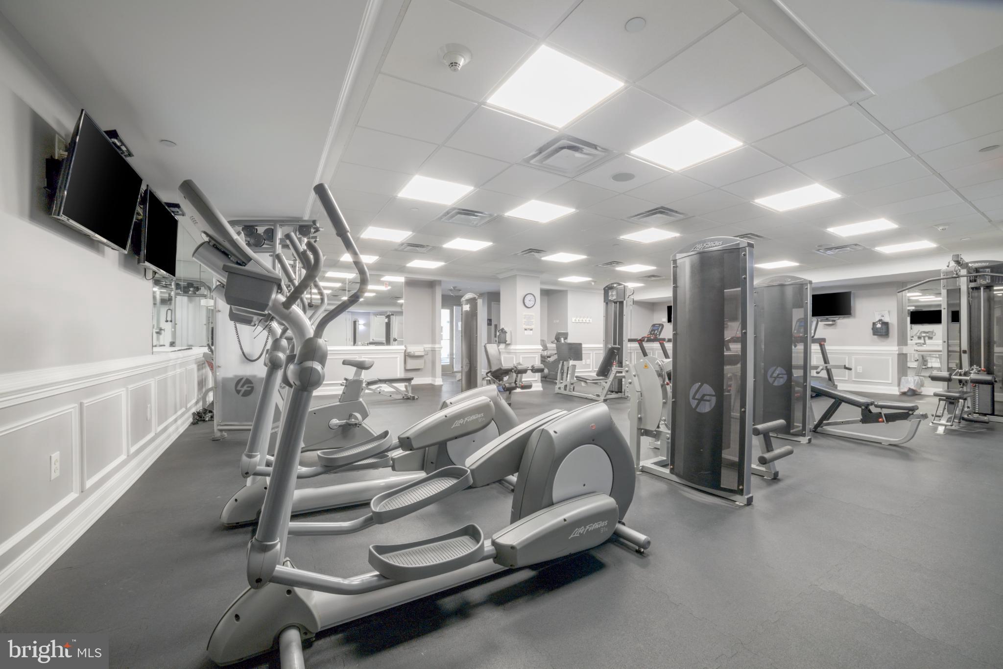 401 CARSON TERRACE 401