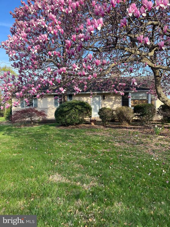 112 STUMP ROAD