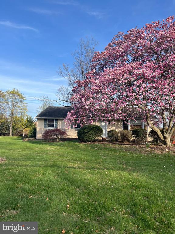 112 STUMP ROAD