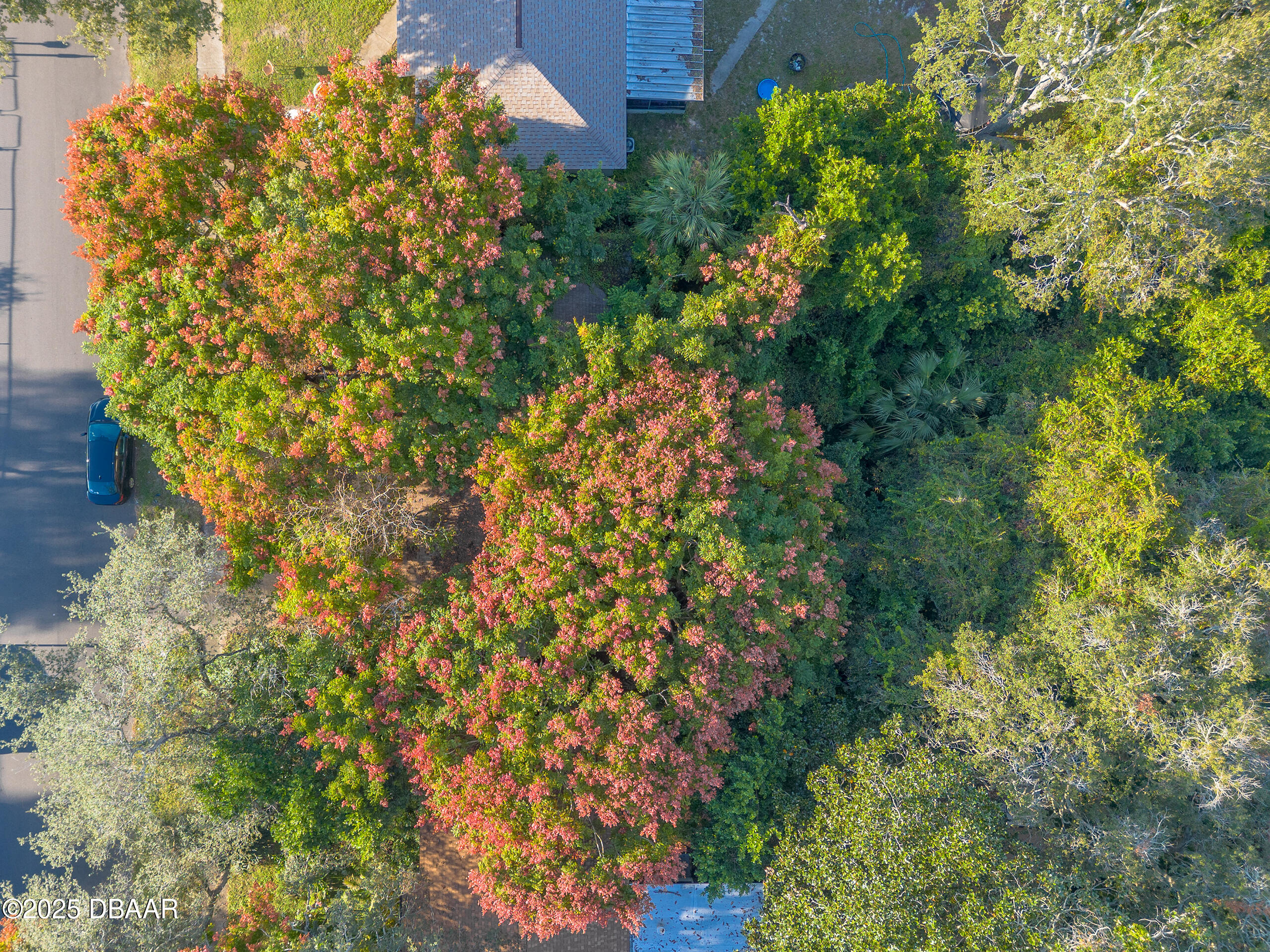 1921 Linda Avenue