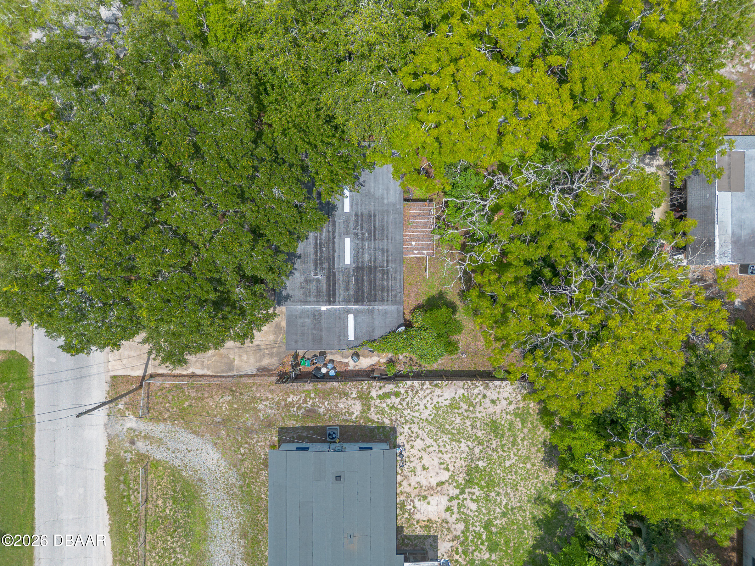1219 Leon Lane