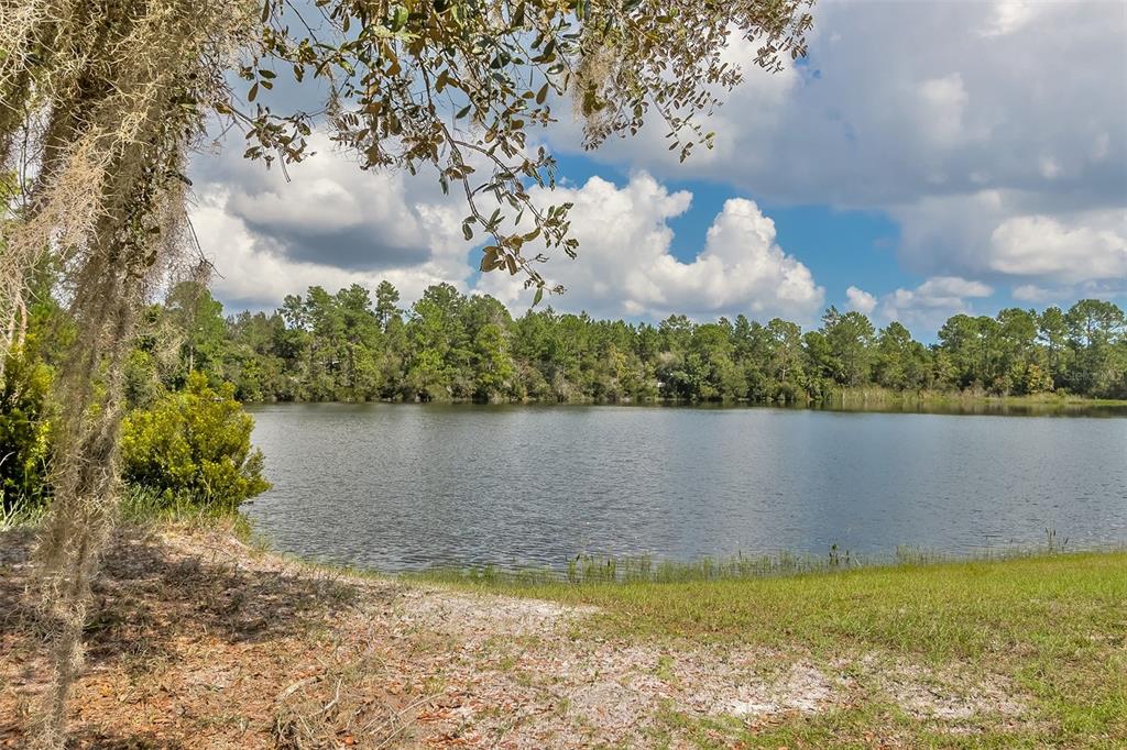 Lake with a grassy shoreline and trees along the opposite bank.