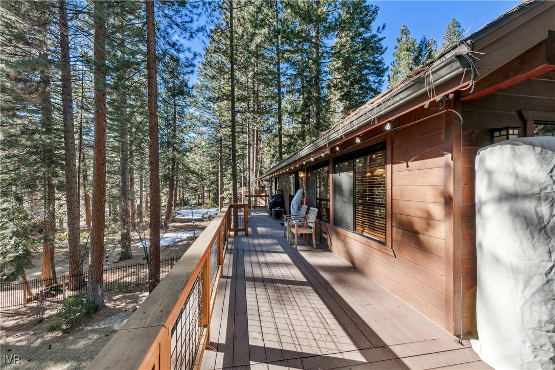 567 Silvertip
