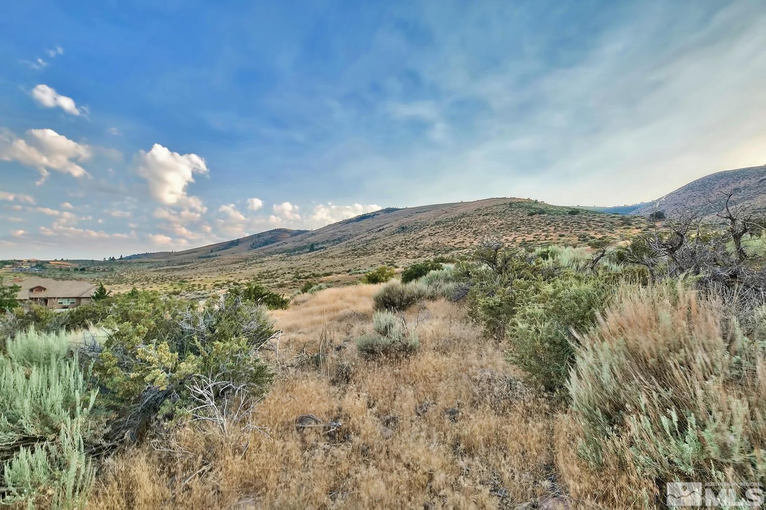 6832 Rabbit Brush