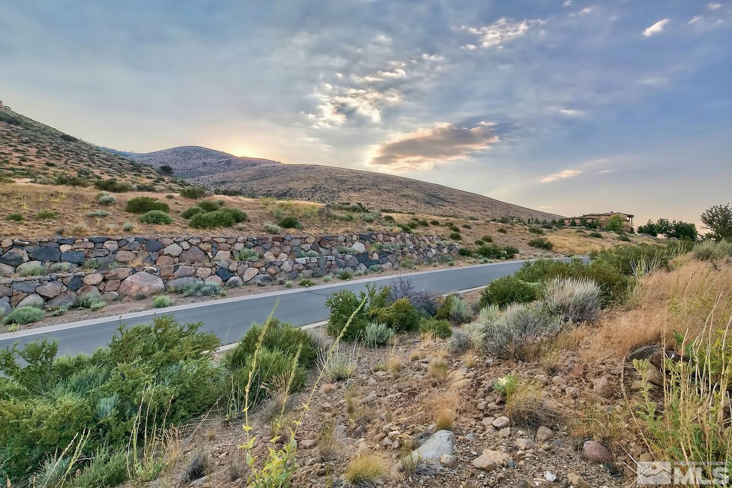 6832 Rabbit Brush