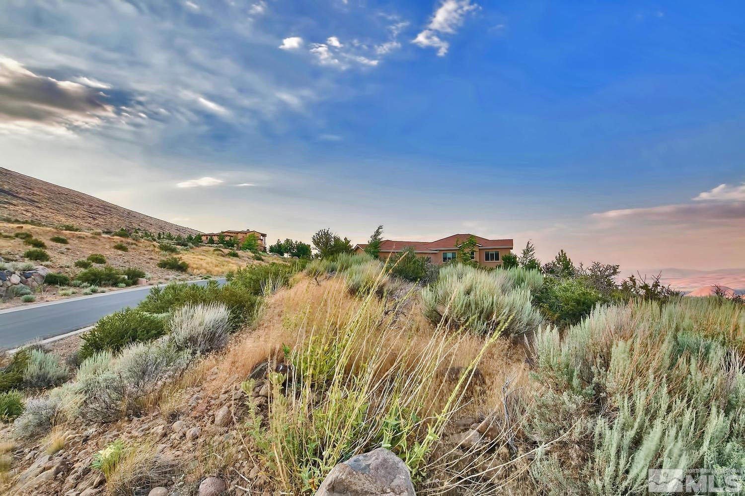 6832 Rabbit Brush