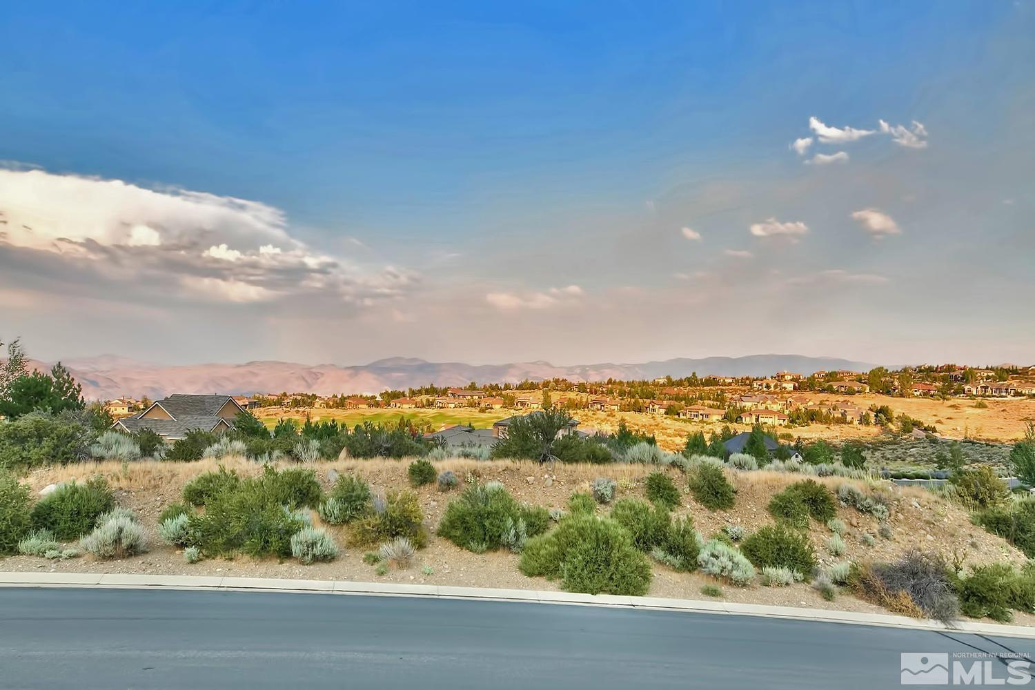 6832 Rabbit Brush