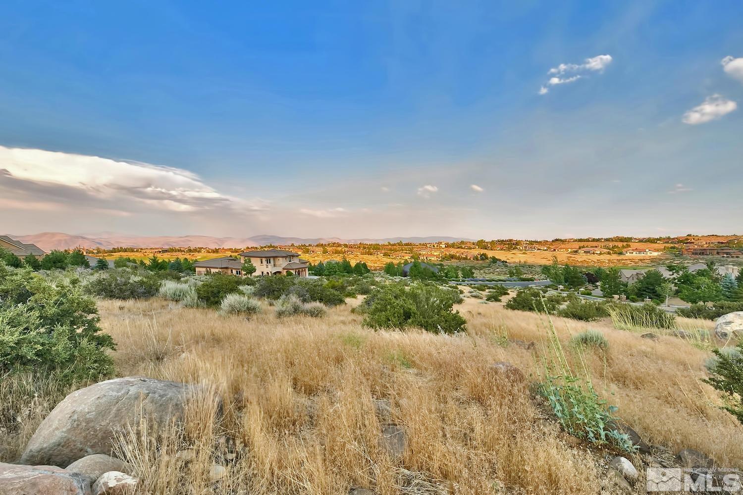 6832 Rabbit Brush