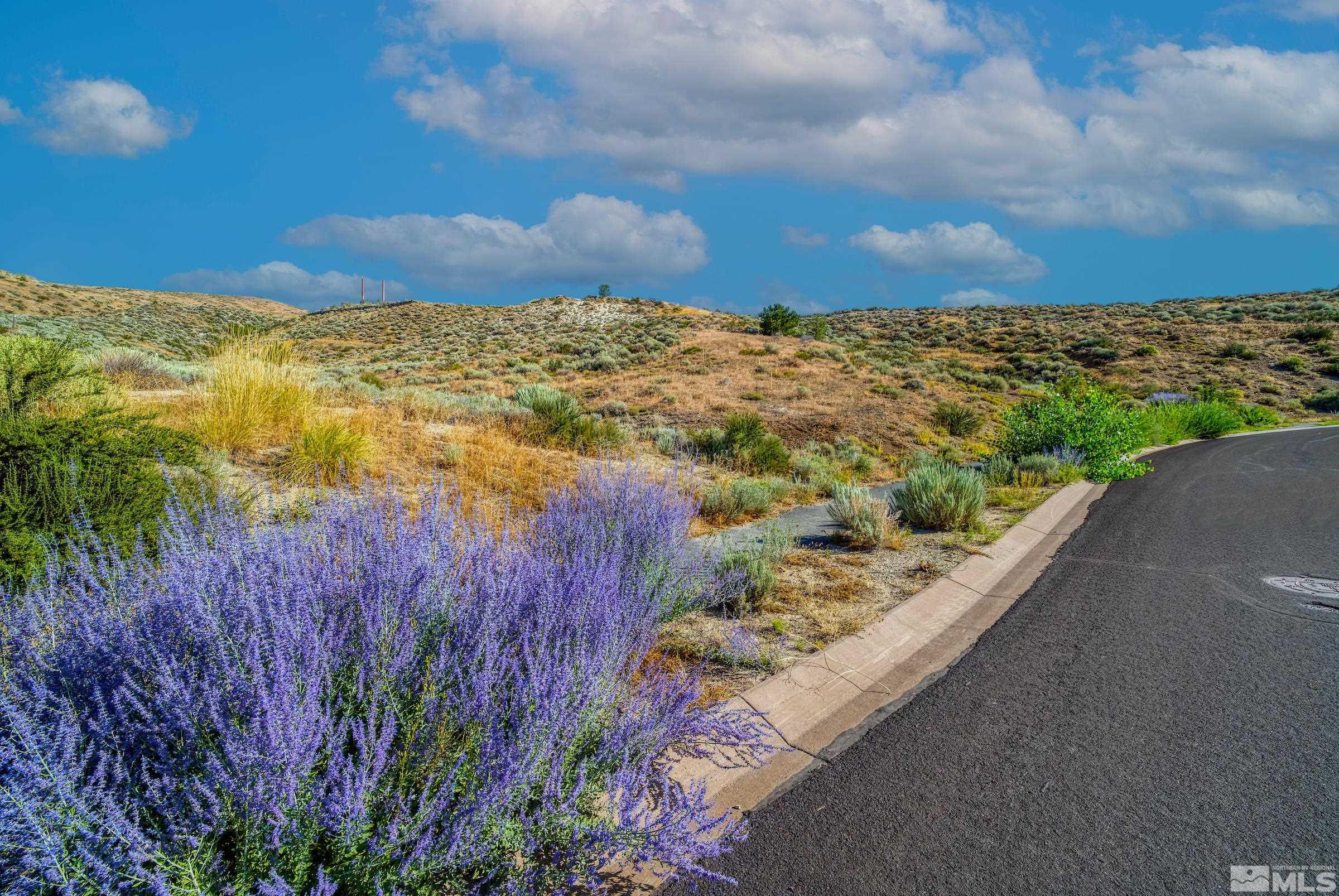 8195 Twin Eagles Court