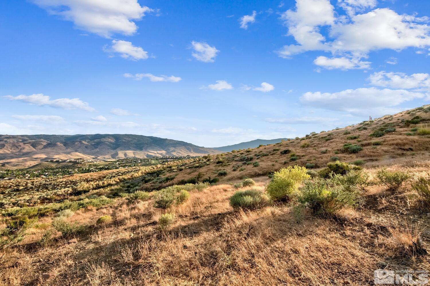 8195 Twin Eagles Court