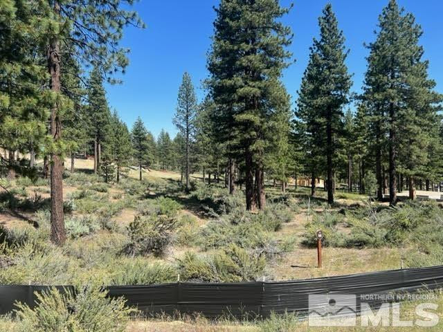 3582 Knob Point Trail, 100