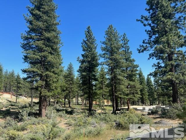 3582 Knob Point Trail, 100