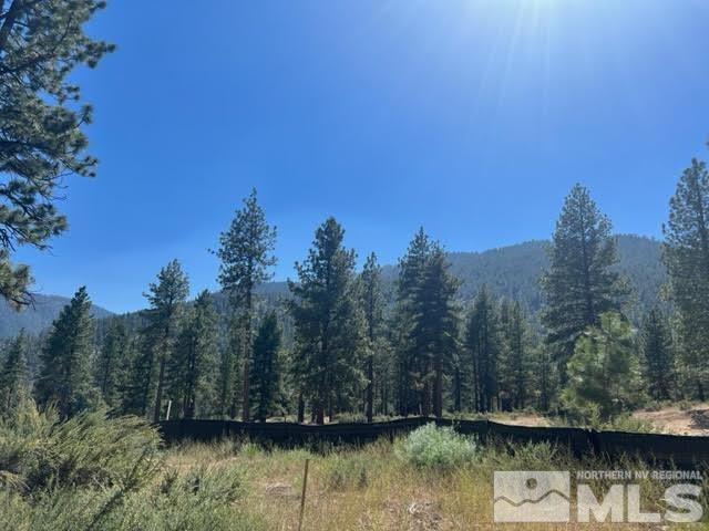3582 Knob Point Trail, 100
