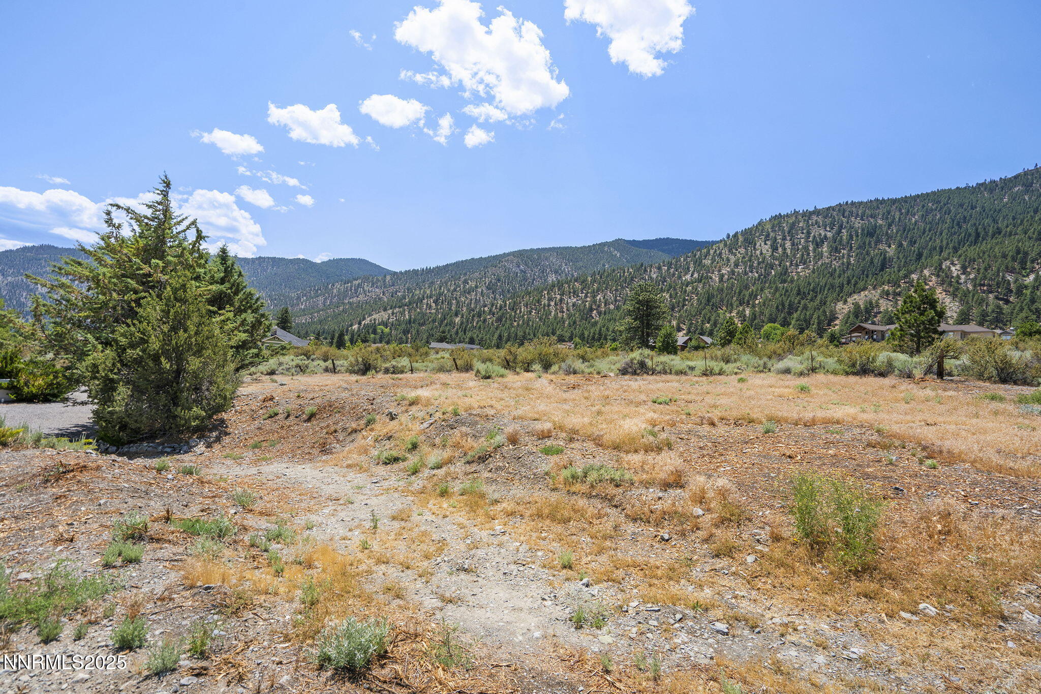 2548 Jacks Valley Road