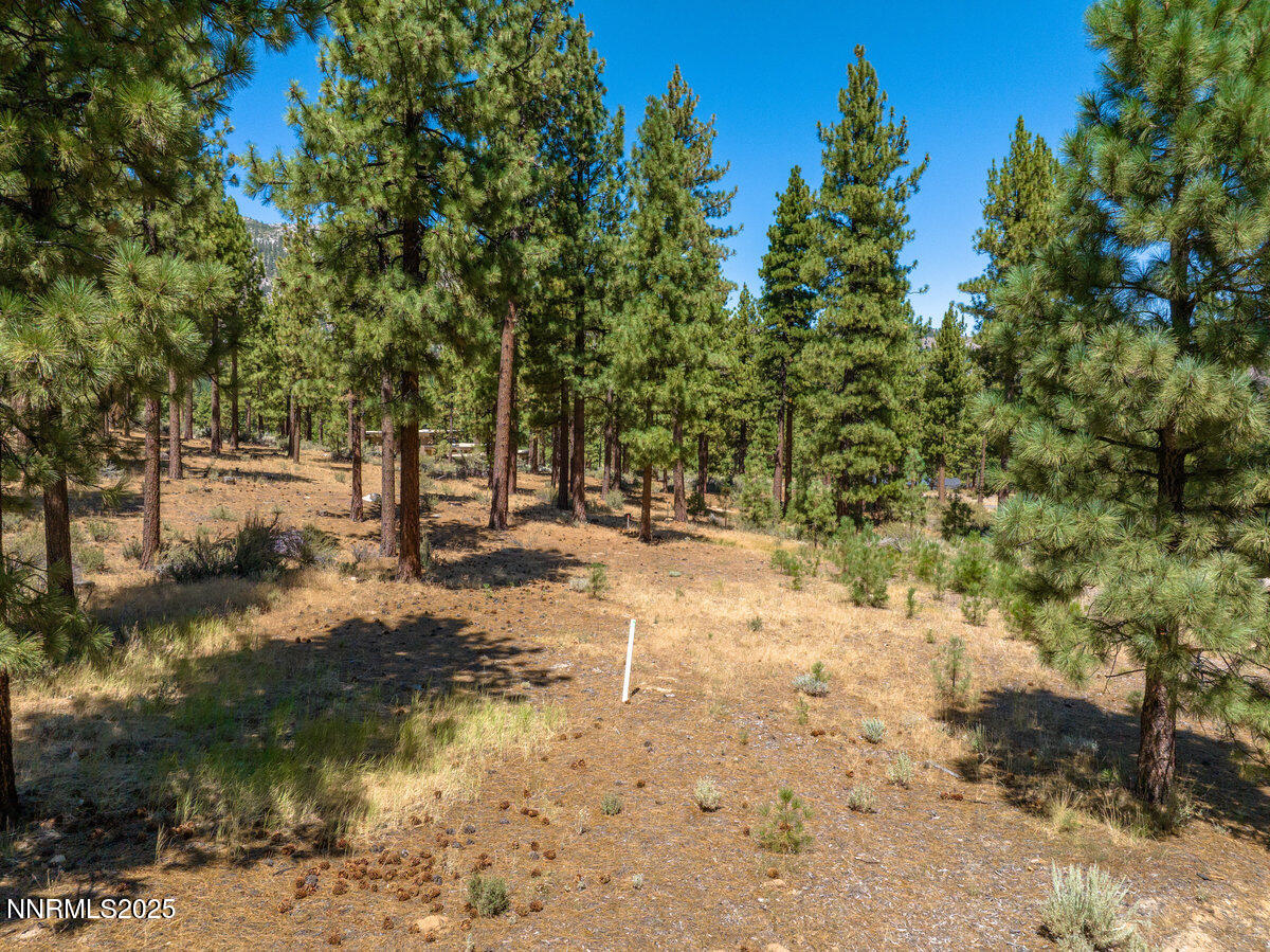 234 Redding Way, 239