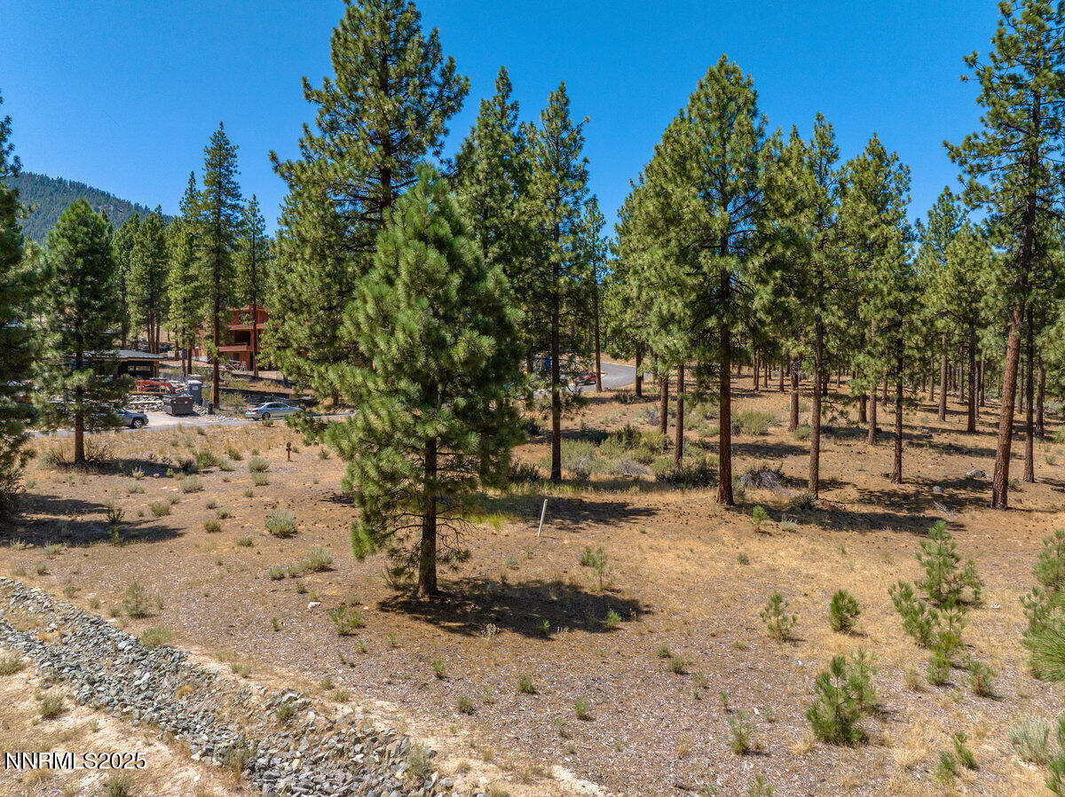 234 Redding Way, 239