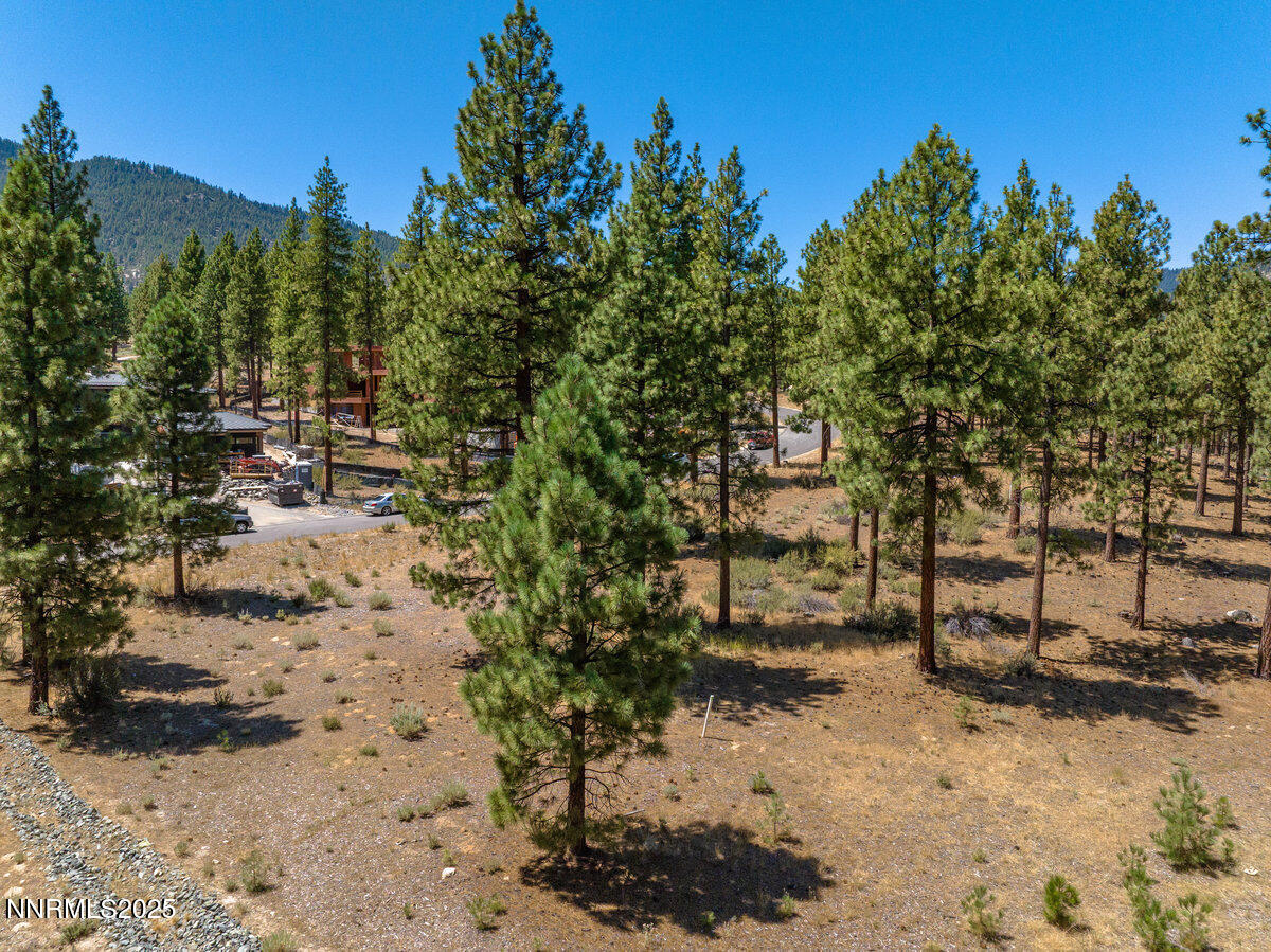 234 Redding Way, 239