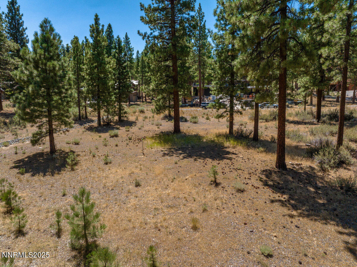 234 Redding Way, 239
