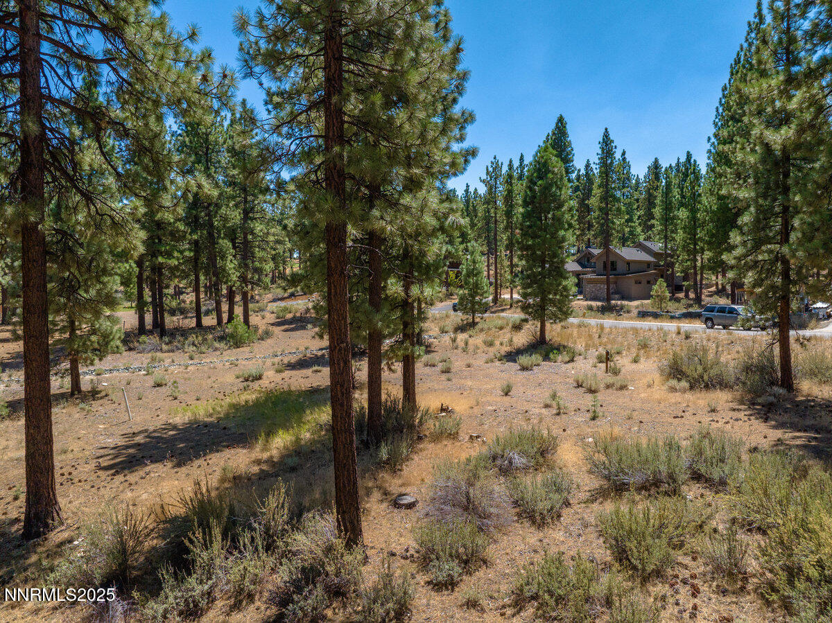 234 Redding Way, 239