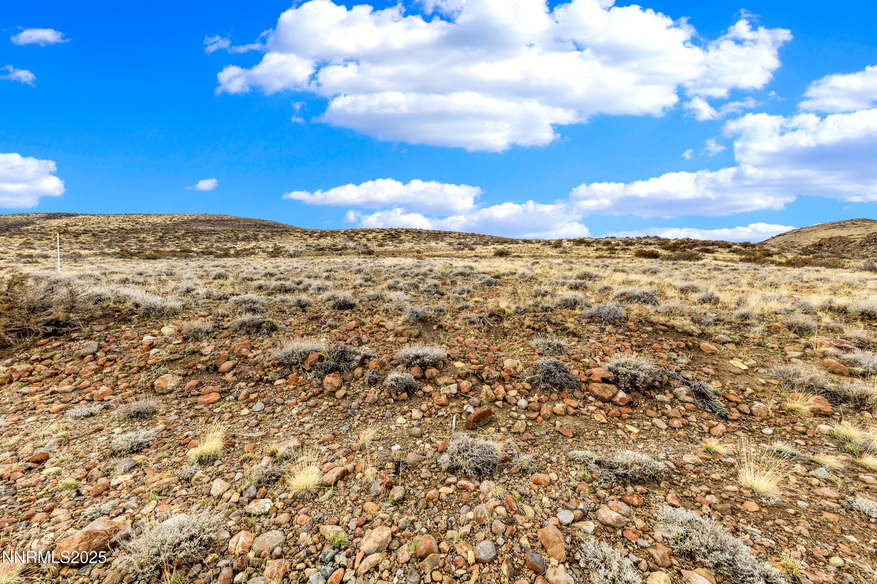 4255 Drop Tine Court