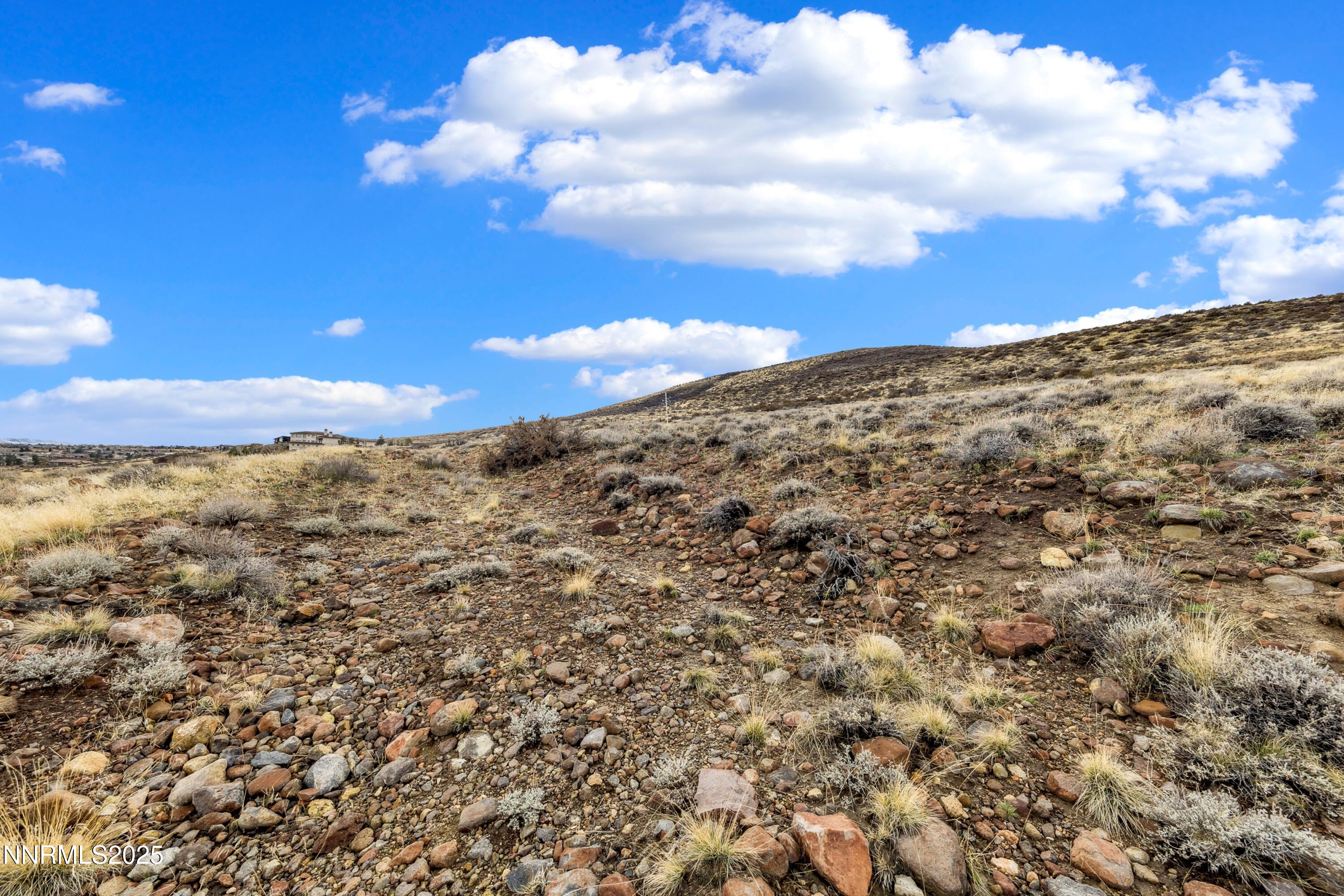 4255 Drop Tine Court