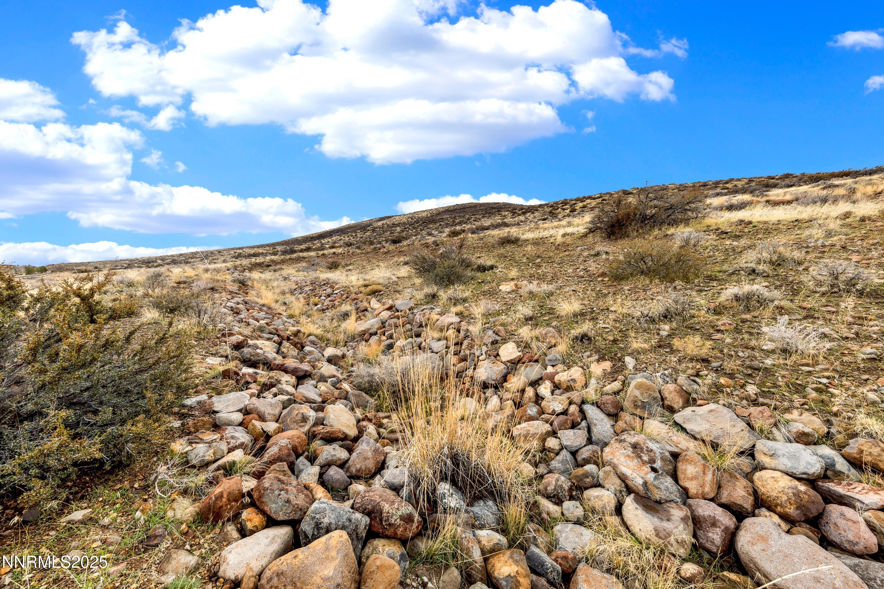 4255 Drop Tine Court