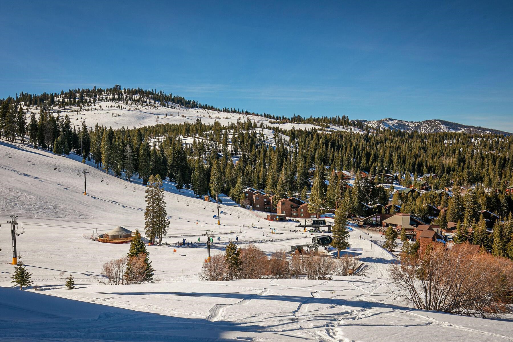 11369 Snowpeak Way Unit: 507