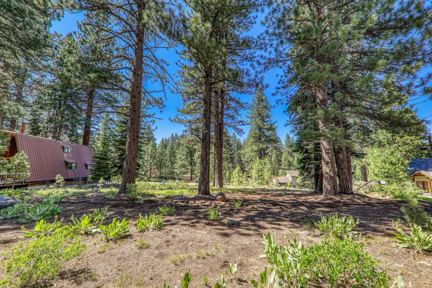 10581 Martis Valley Road