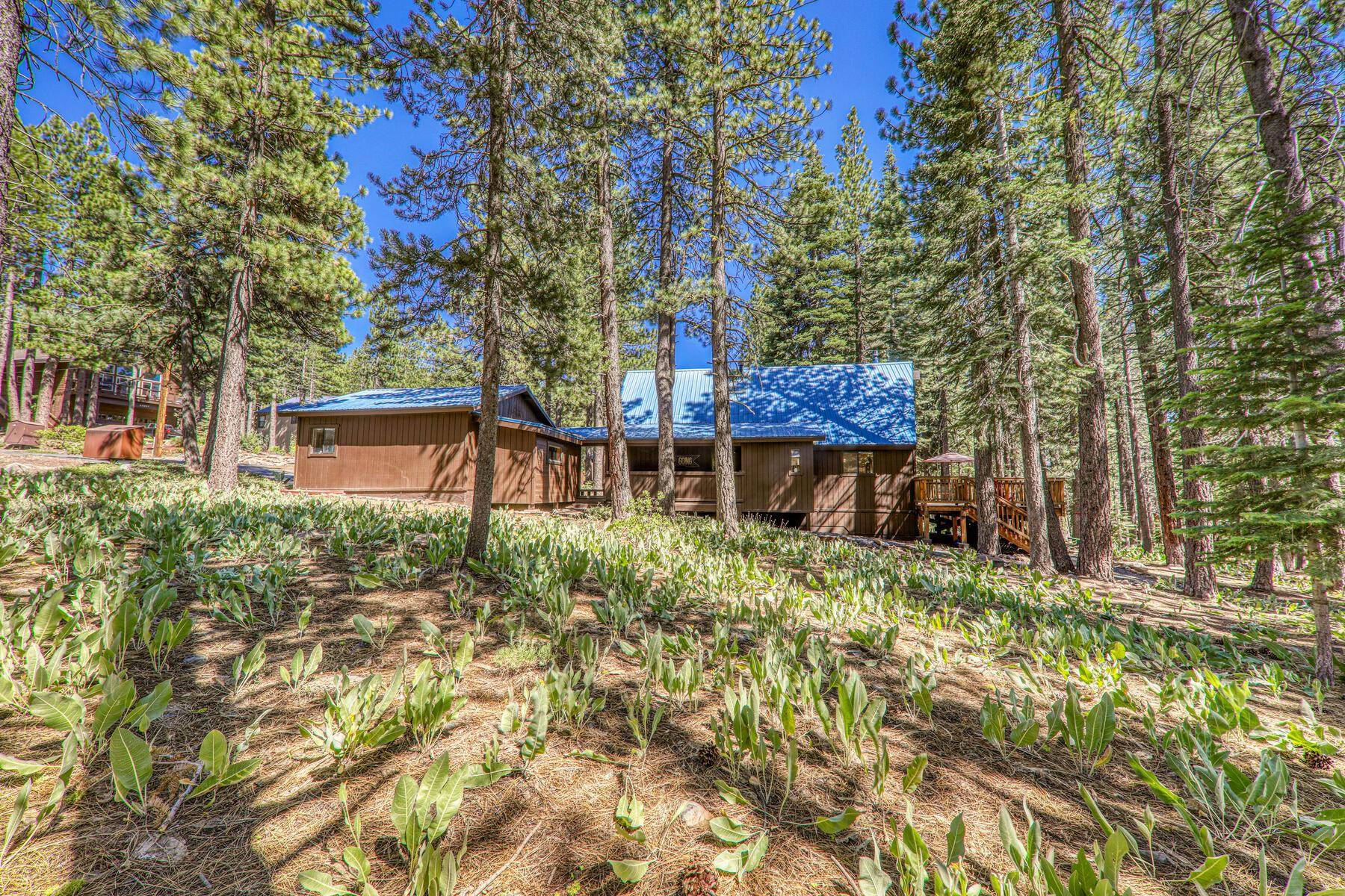 13282 Muhlebach Way