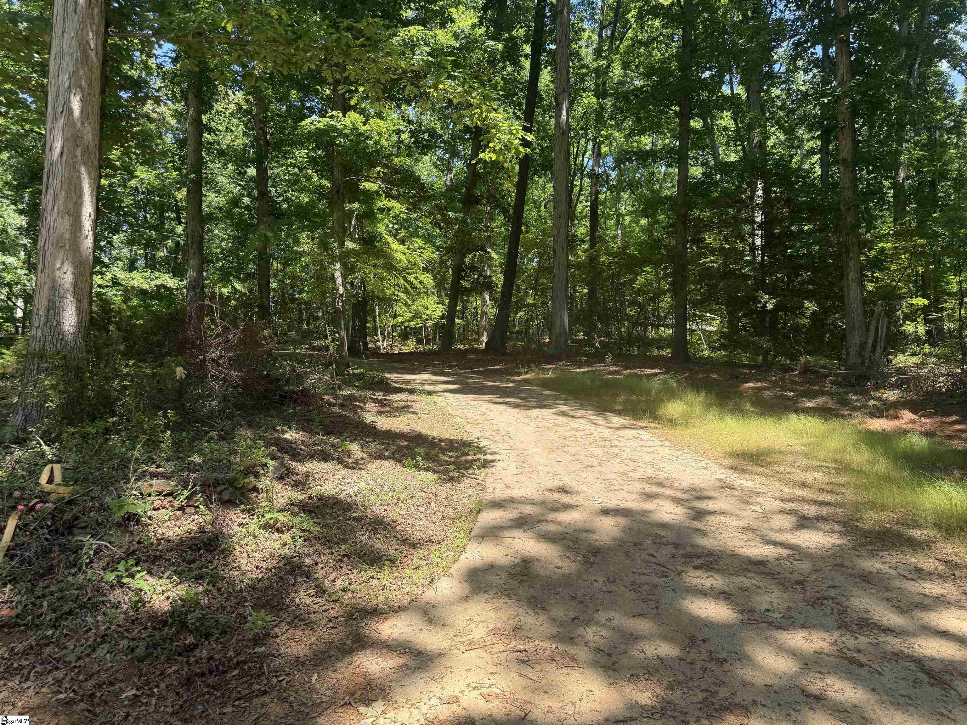 321 Grace Lane