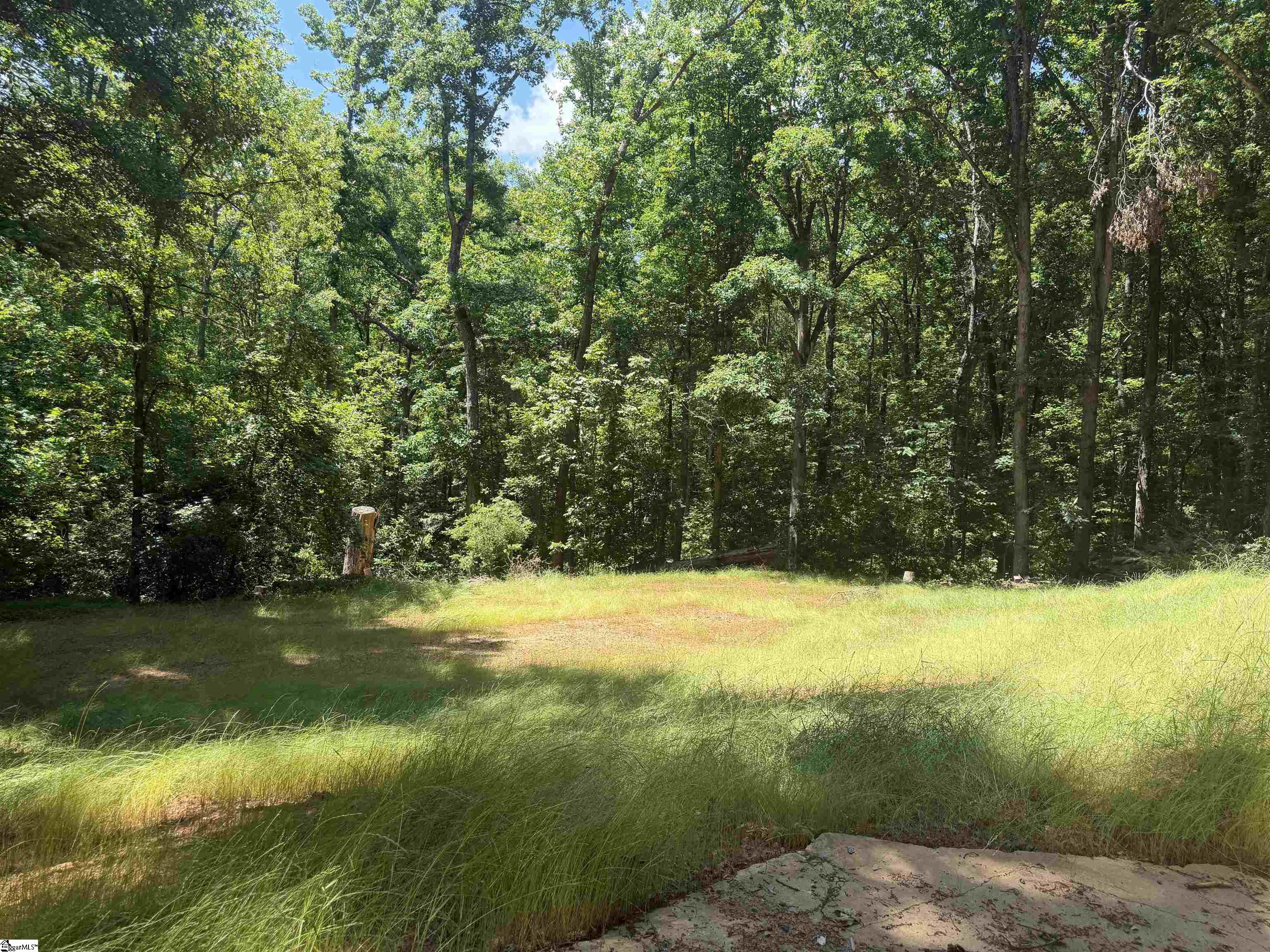 321 Grace Lane