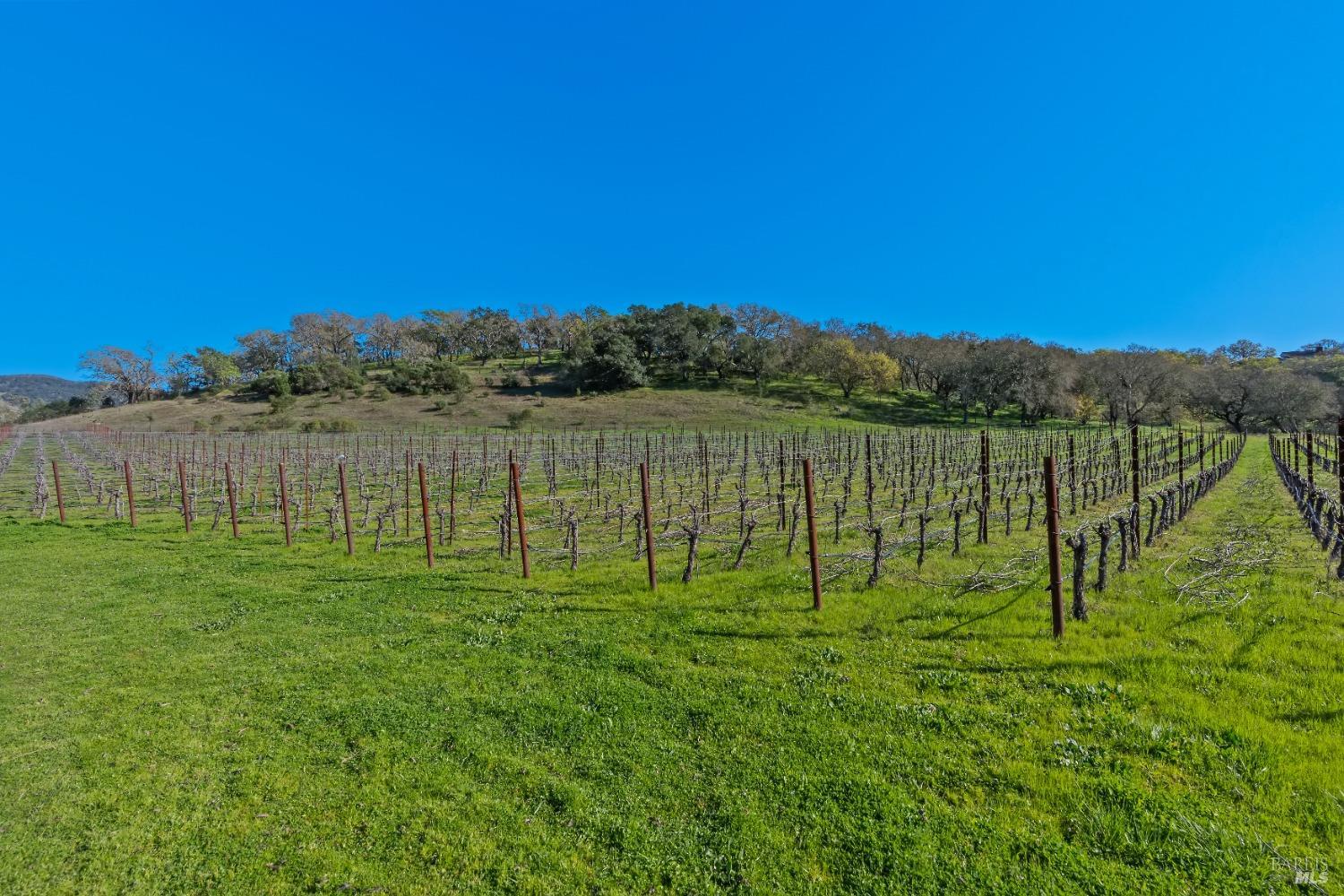 2205 Loma Heights Rd