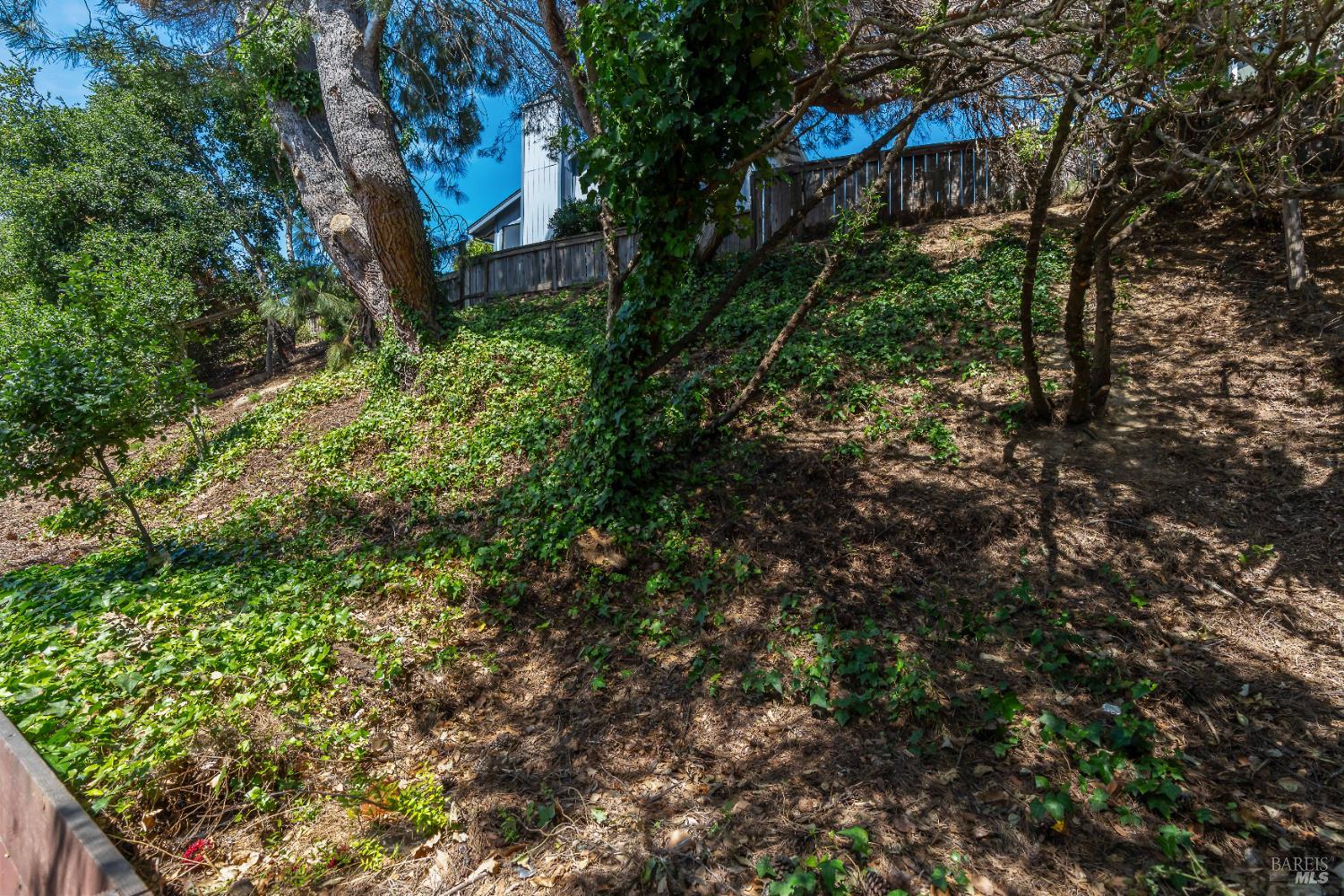 124 Nalisty Dr
