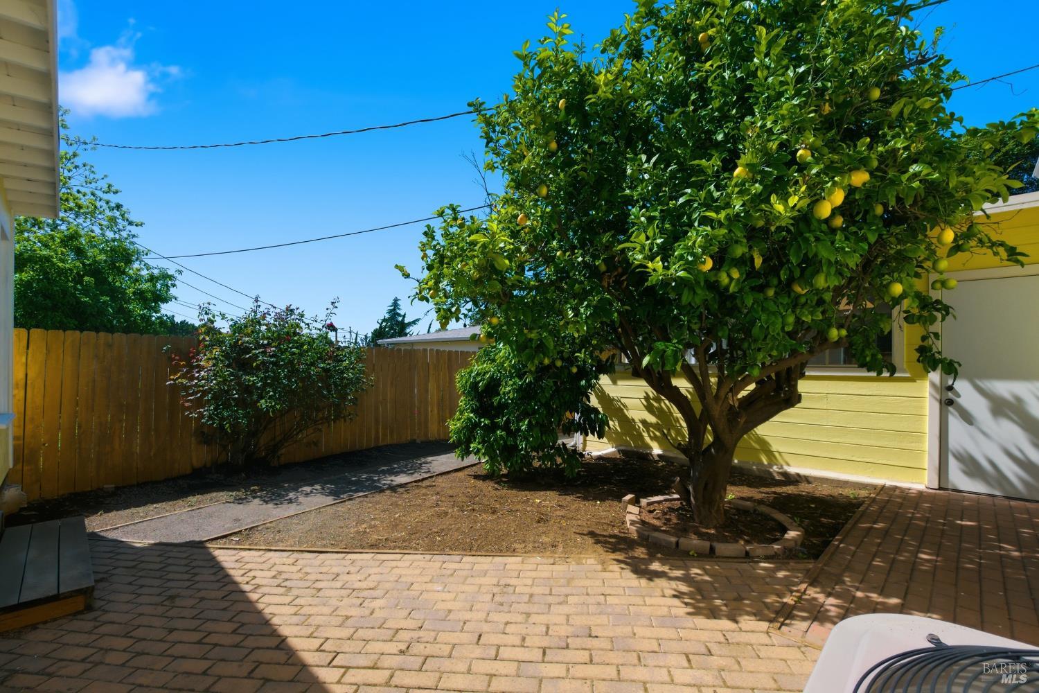 1969 Tuolumne Street