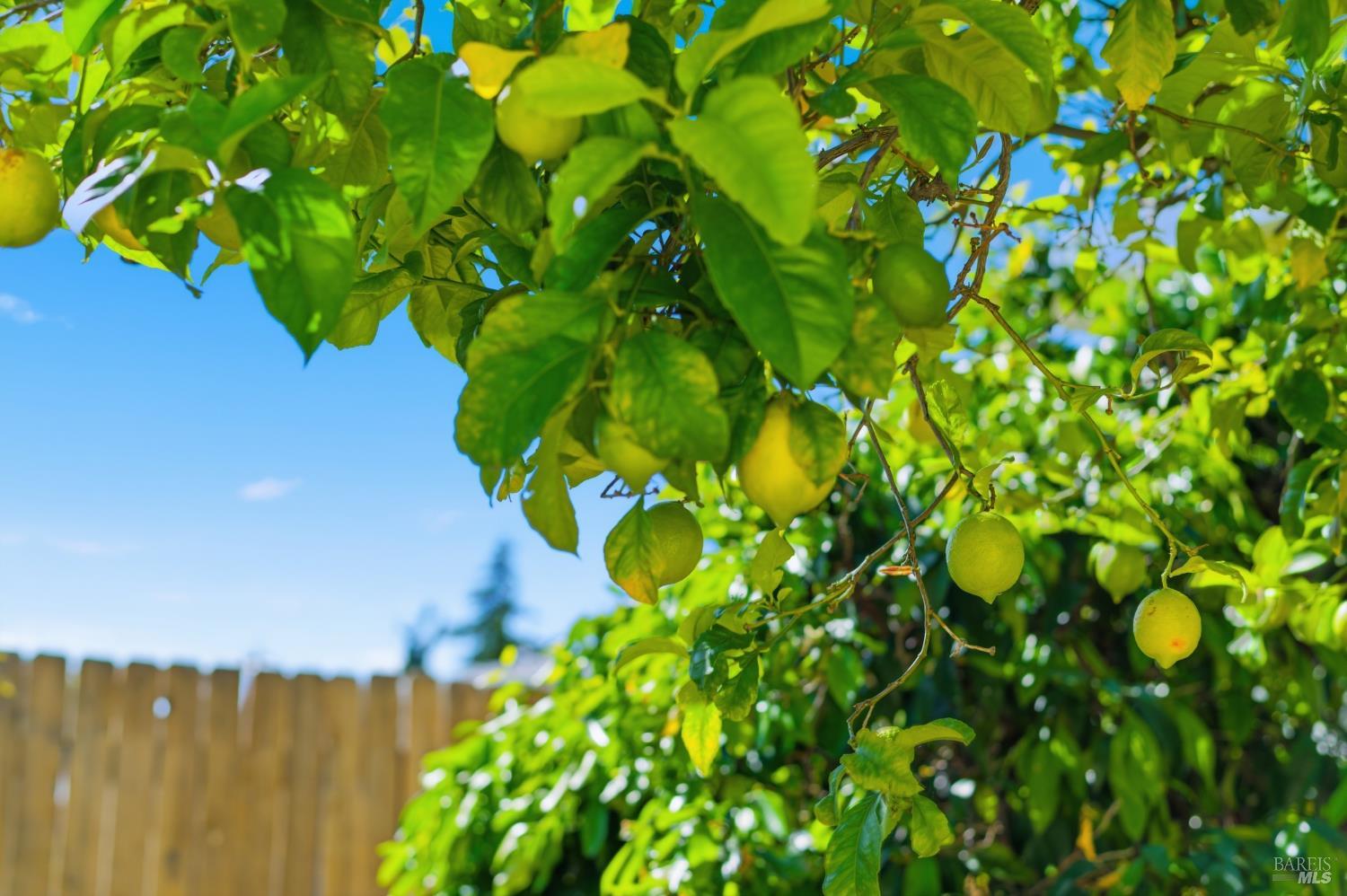 1969 Tuolumne Street