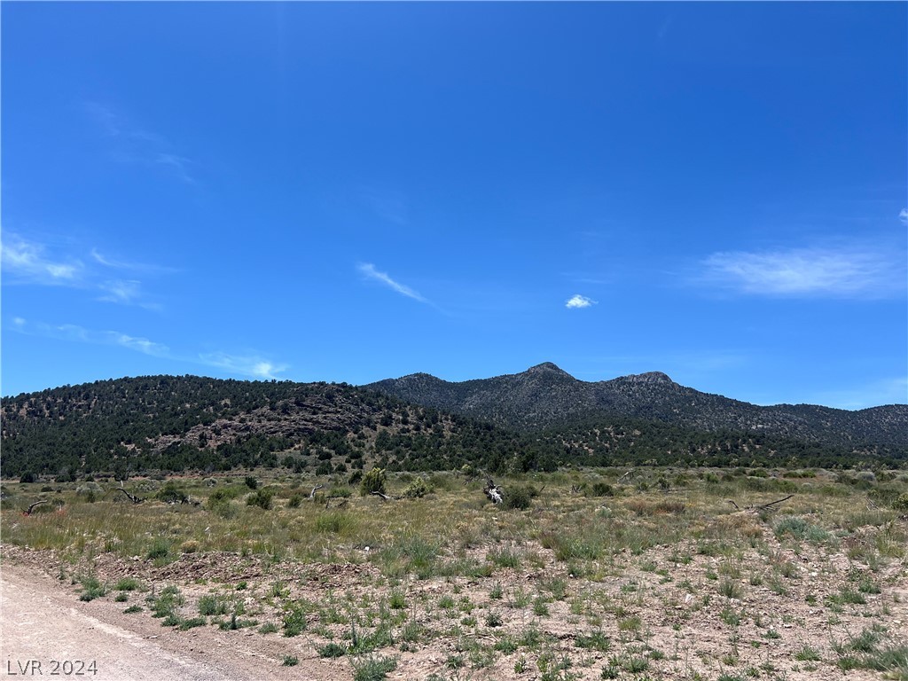 292 Dusty Trail