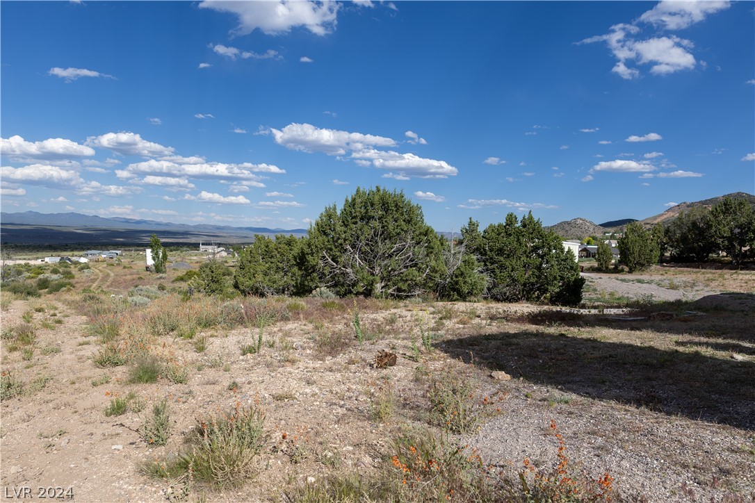 292 Dusty Trail