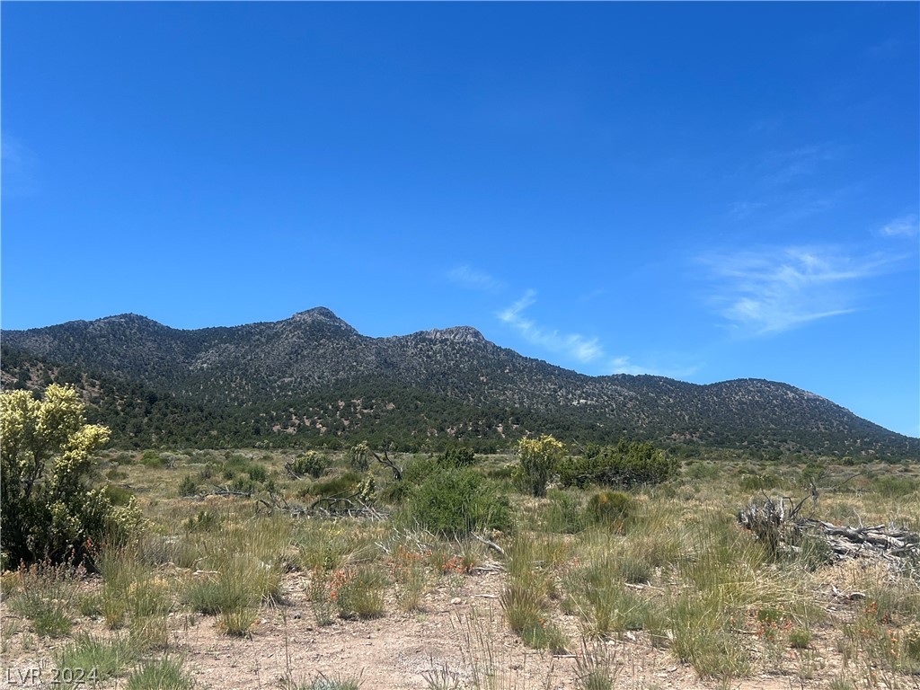 292 Dusty Trail