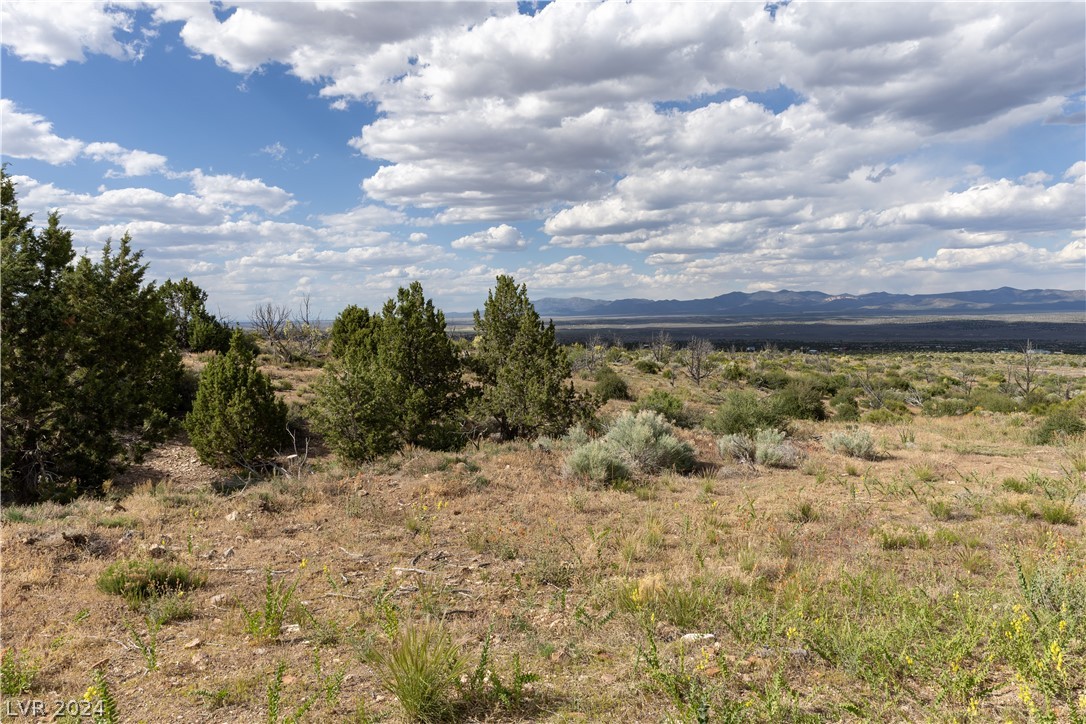 292 Dusty Trail