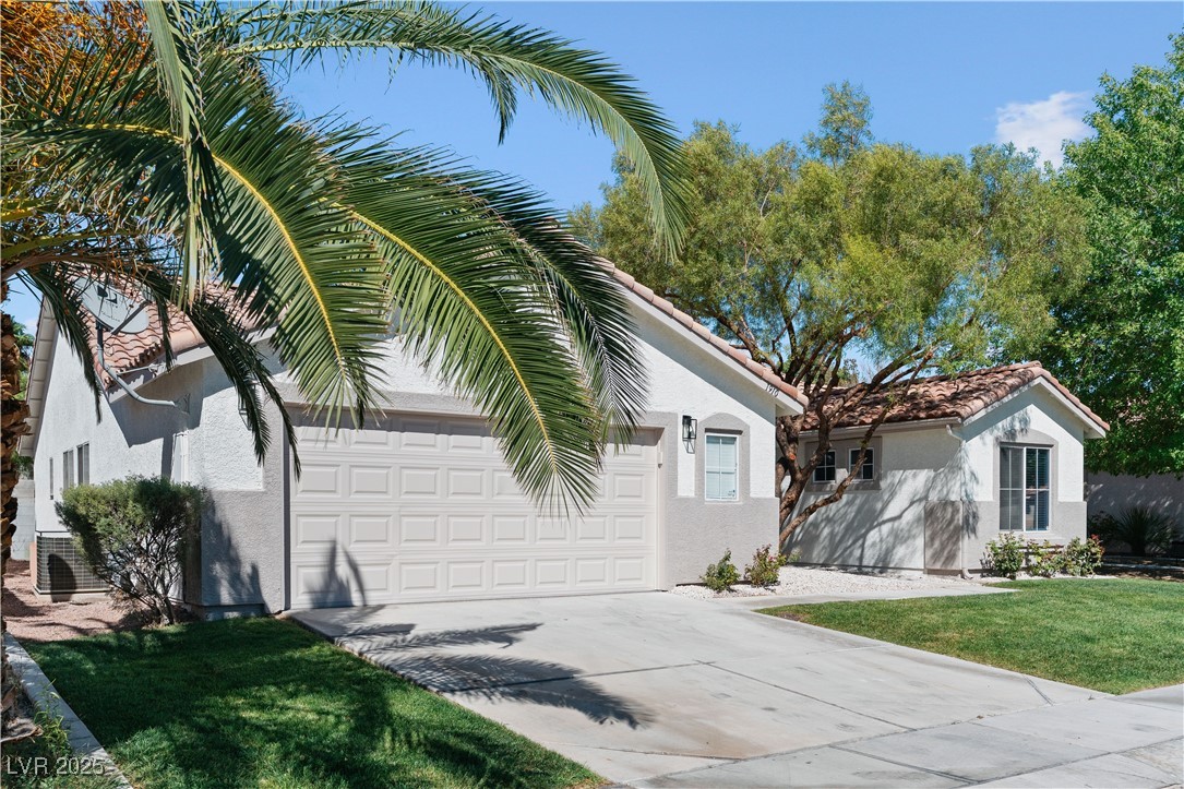 1910 Night Shadow Avenue