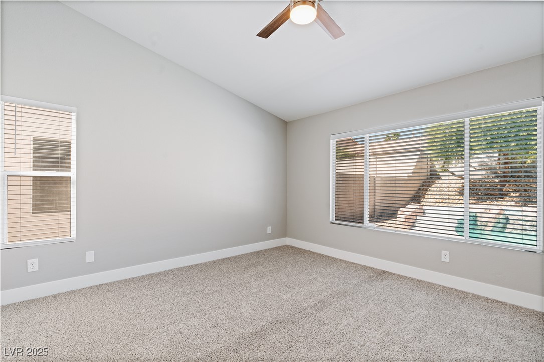 1910 Night Shadow Avenue