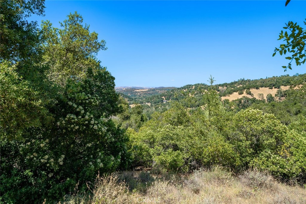 8610 Fawn Lane