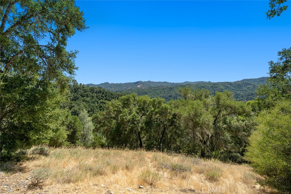8610 Fawn Lane