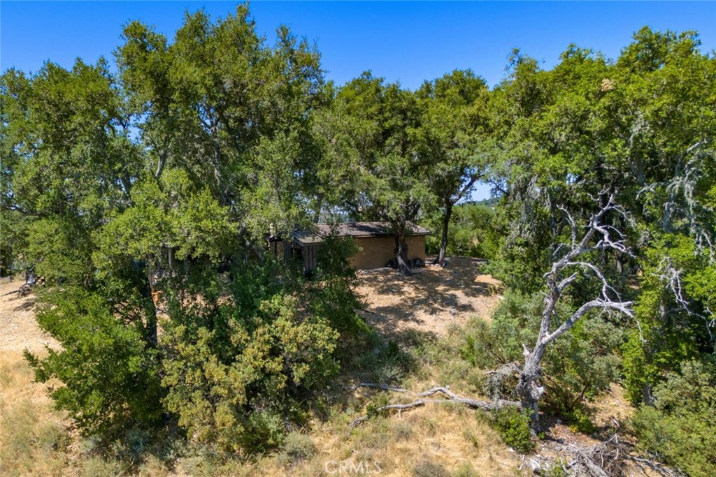 8610 Fawn Lane