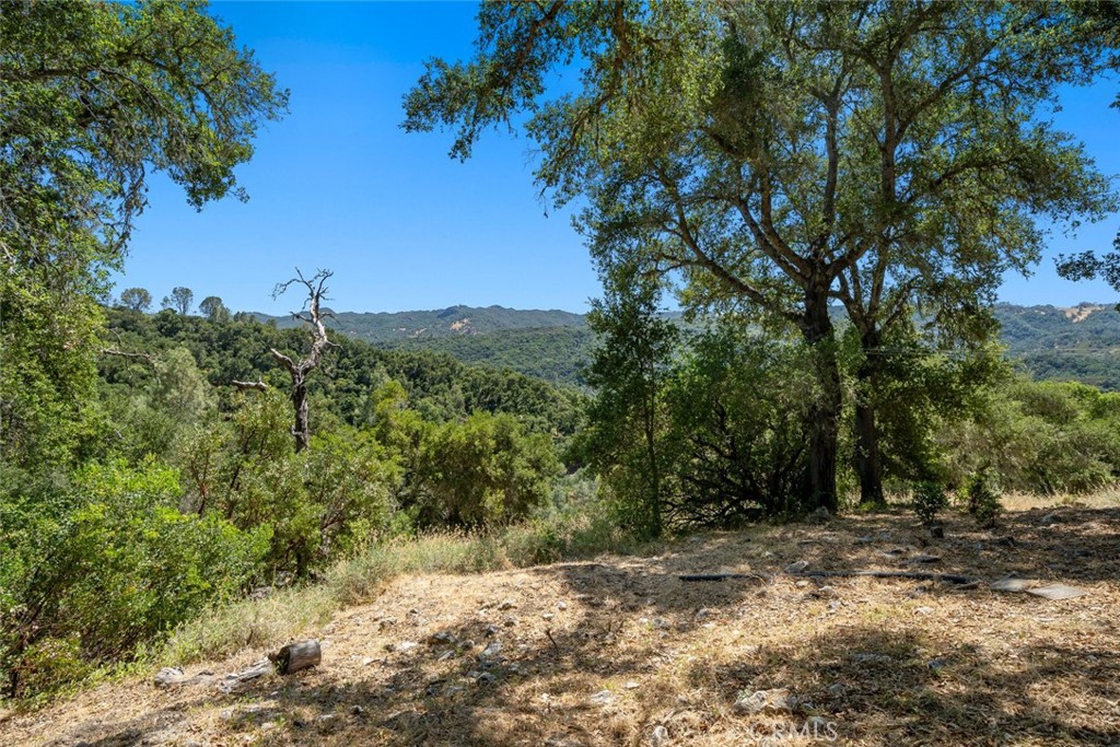 8610 Fawn Lane